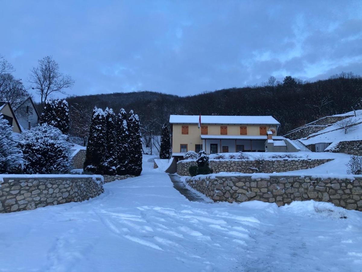 Judit Vendeghaz Suemeg Hotel Bagian luar foto