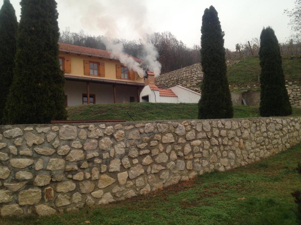 Judit Vendeghaz Suemeg Hotel Bagian luar foto